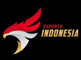 Tentang PB Esports Indonesia