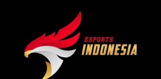 Tentang PB Esports Indonesia