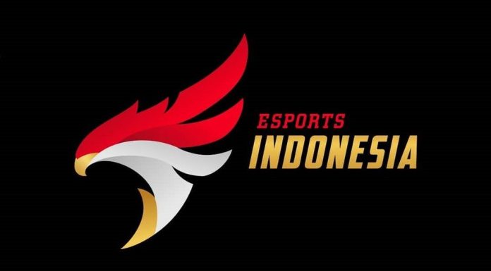 Tentang PB Esports Indonesia